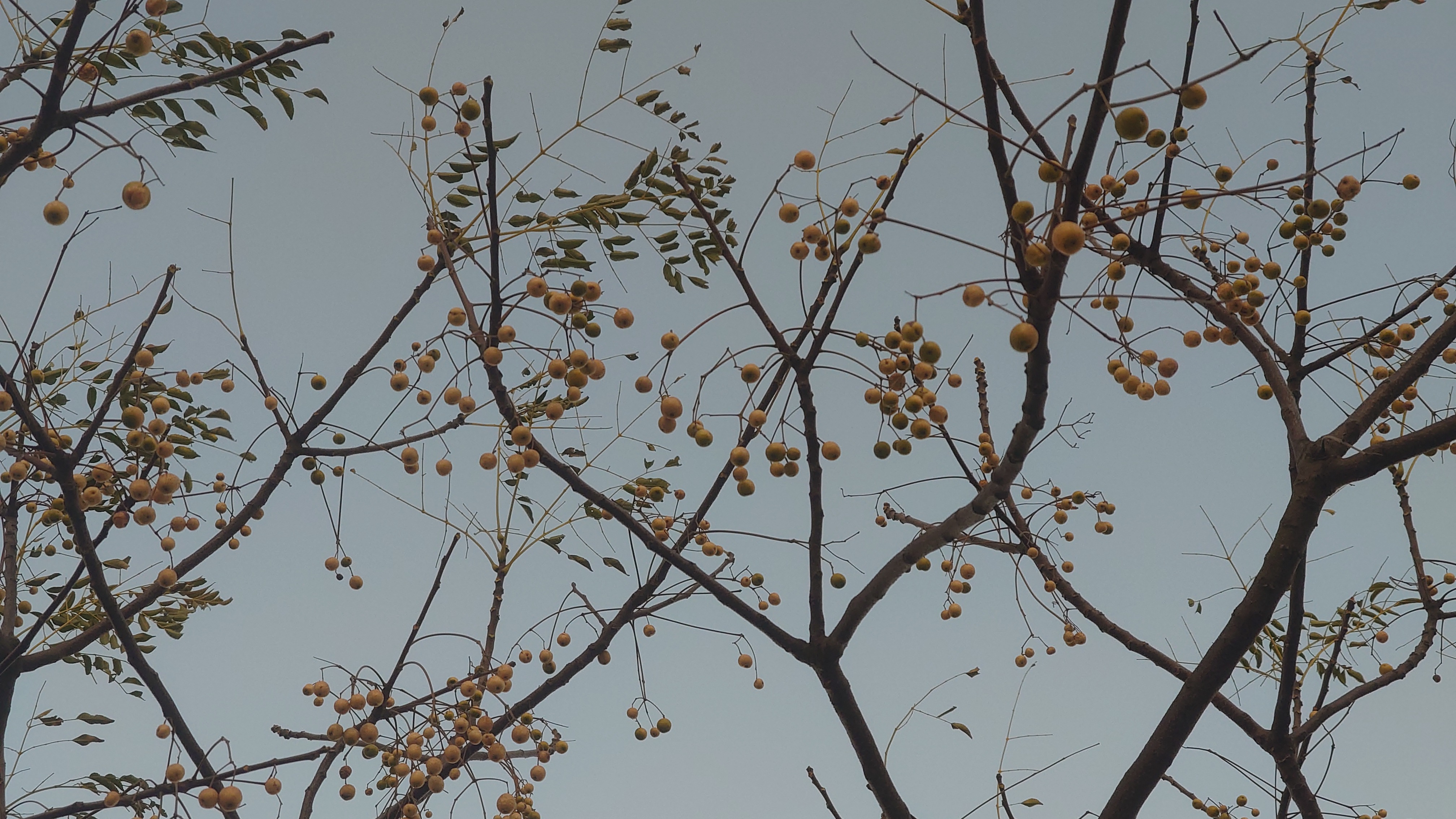 Featured image of post quant puzzles 记录