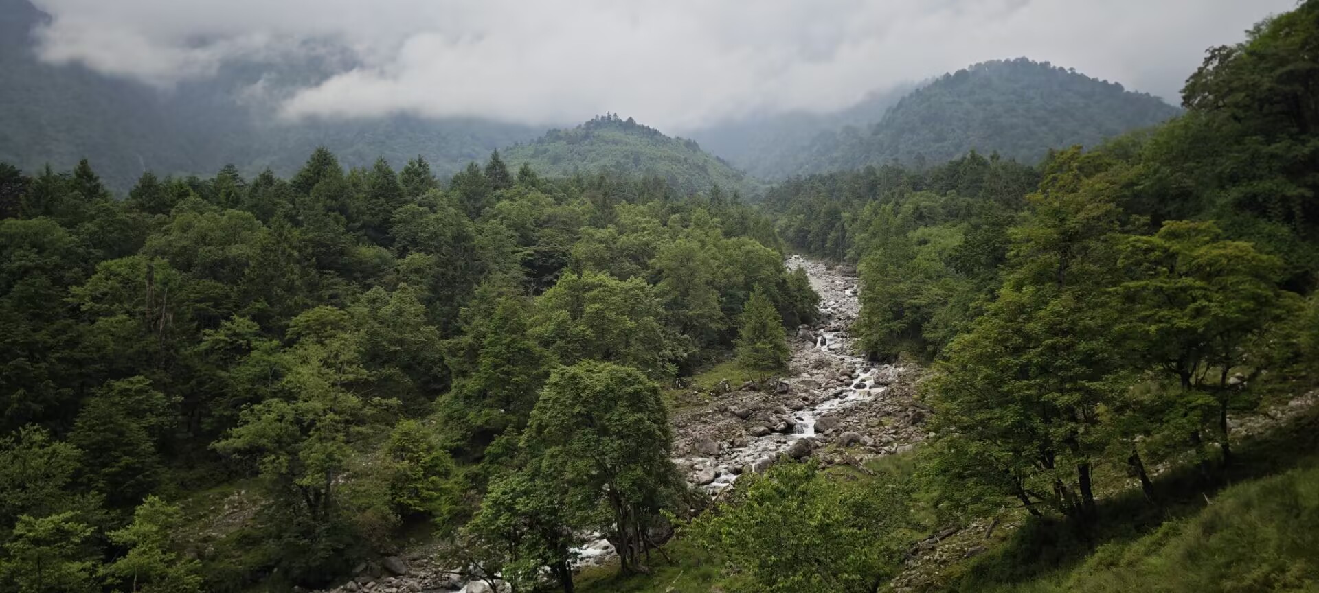 Featured image of post 基于文本的情感分析 LLM