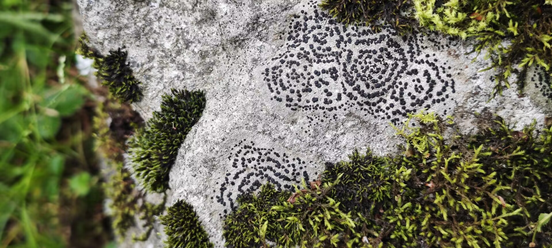 Featured image of post python 上下文管理器 参数作用域 闭包 函数参数顺序