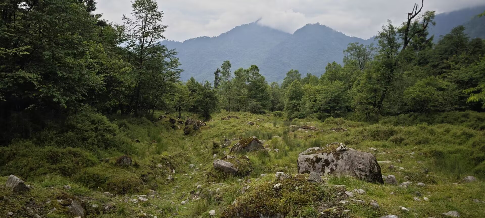 Featured image of post python 类