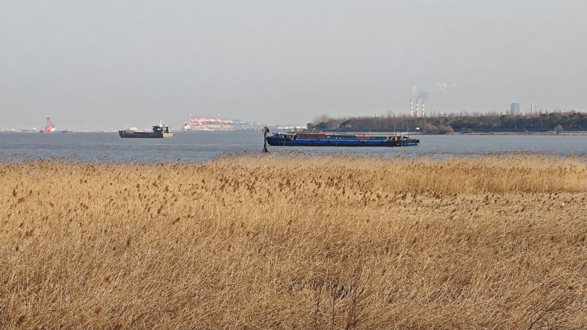 Featured image of post QWZ模型：拓扑绝缘体中的量子相变