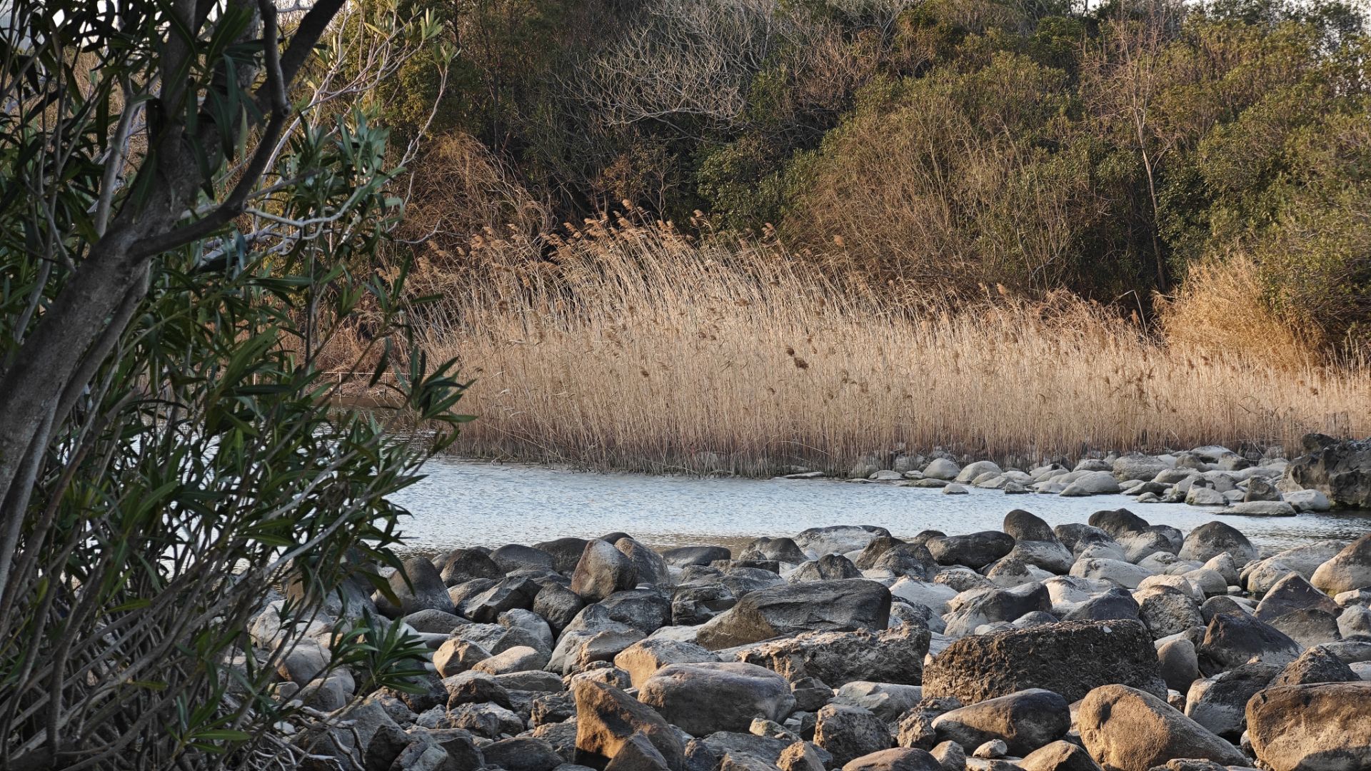 Featured image of post 艺术与自然中的抽象 记录